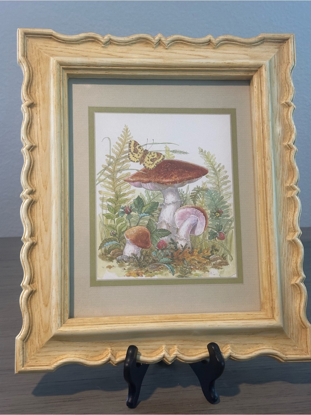 Vintage Framed Botanical Mushroom Art Print. Brandywine art ltd.